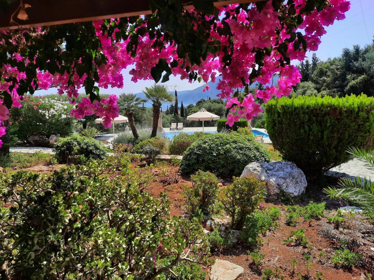 Panorama Apartments Fiscardo Fiskardo Luaran gambar